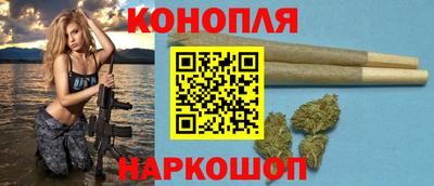 Альфа ПВП Бийск