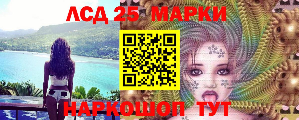 Наркотические марки 1,5мг Кингисепп