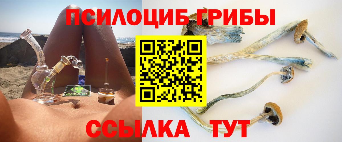 Галлюциногенные грибы мицелий  Вход с VPN  Кингисепп 